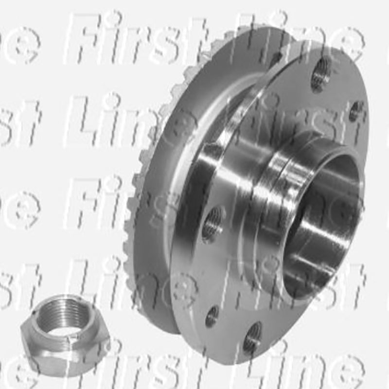 FBK392 Rear Wheel Bearing Kit
