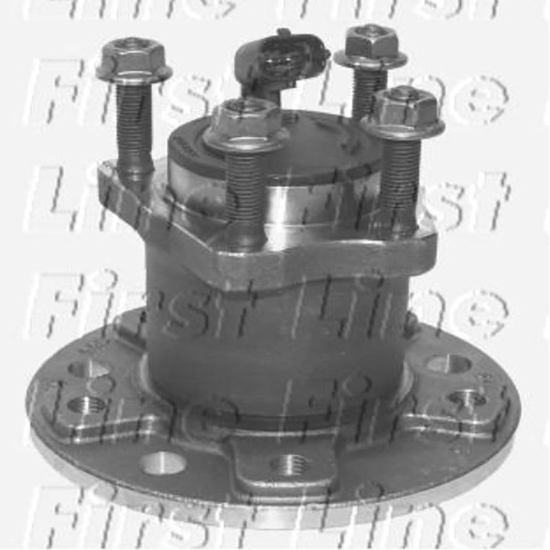 FBK975 Rear Wheel Bearing Kit