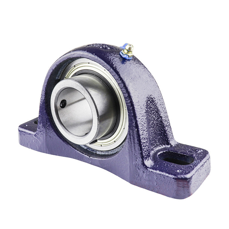 RHP NP5/8 Two Bolt Cast Iron Pillow Block and 5/8 Bore Grub Screw Full Width Insert