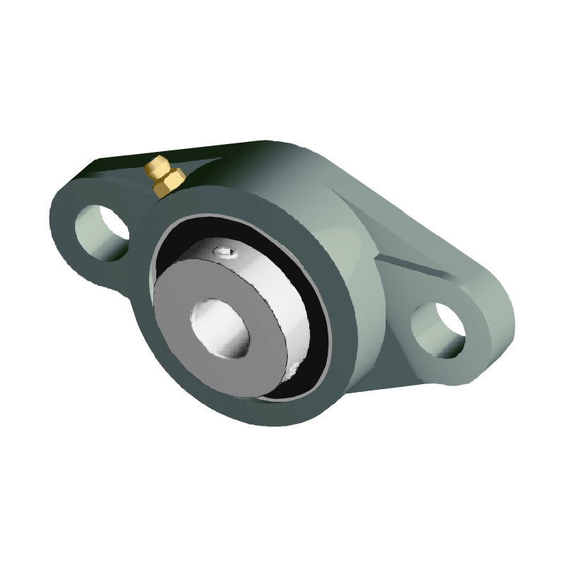 NTN UCFLX06D1 Metric Two Bolt Oval Cast Iron Flange Housing with 30mm Bore Insert - Allow 2-3 Days
