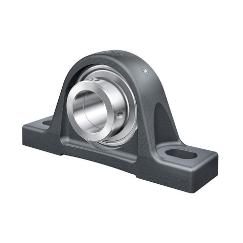 INA RASE2-3/16 Cast Iron Plummer Block Housing with Eccentric Collar Insert 2-3/16 inch Bore