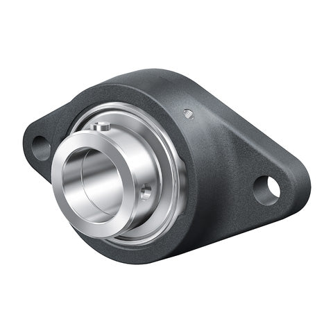 INA RCJTZ20XL Two Bolt Cast Iron Oval Housing with Eccentric Collar Insert 20mm Bore