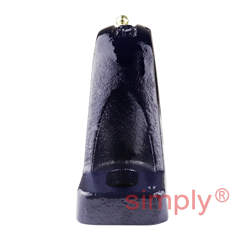 RHP SL25EC Two Bolt Cast Iron Pillow Block and 25mm Bore Eccentic Collar Flat Back Insert