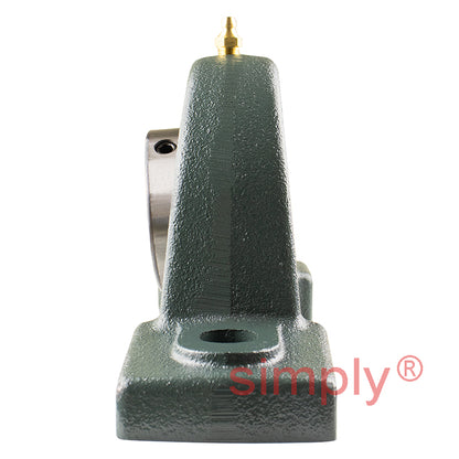 NTN UCPX10D1 Metric Cast Iron Two Bolt Pillow / Plummer Block Housing with 50mm Bore Insert